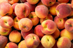 3 NEMAGUARD PEACH TREE Prunus Persica Fruit Pink Flower Seeds
