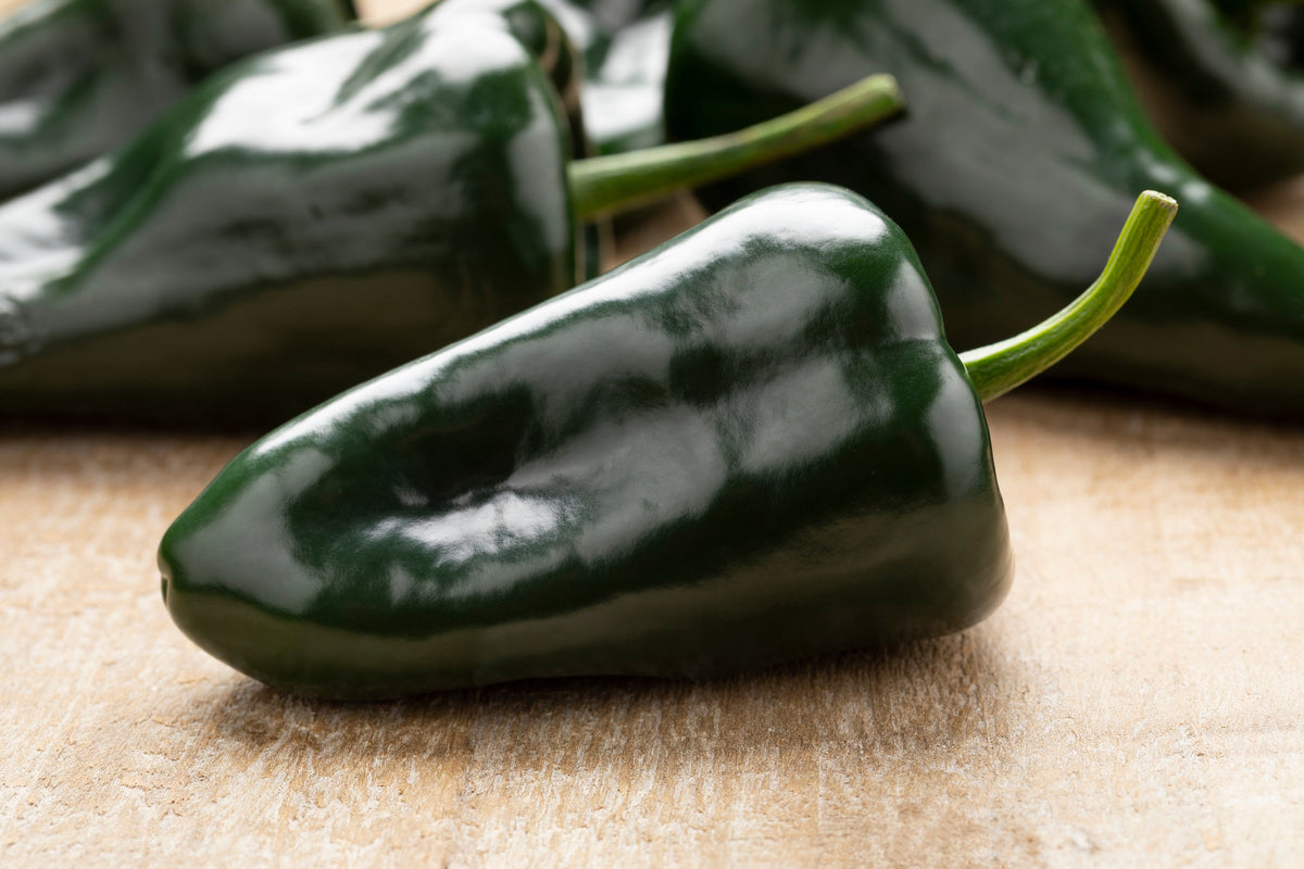 50 ANCHO POBLANO PEPPER Chili Pepper Capsicum Annuum Vegetable Seeds