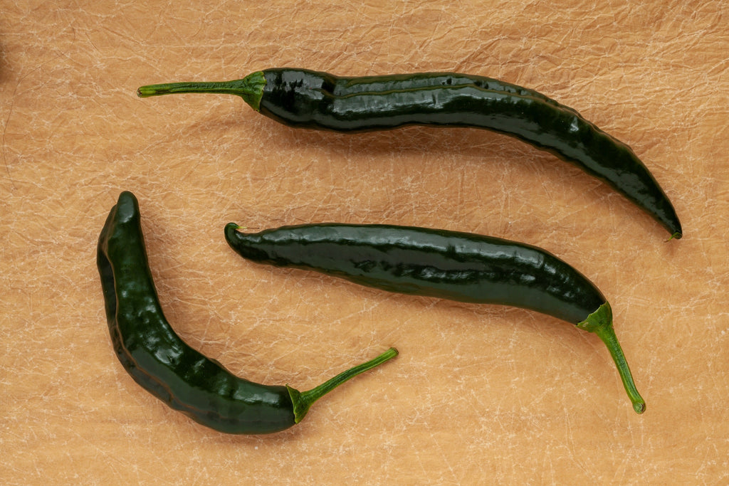 50 PASILLA BAJIO PEPPER Mexican Chile Negro Capsicum Annuum Vegetable Seeds
