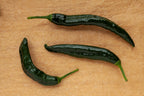 50 PASILLA BAJIO PEPPER Mexican Chile Negro Capsicum Annuum Vegetable Seeds