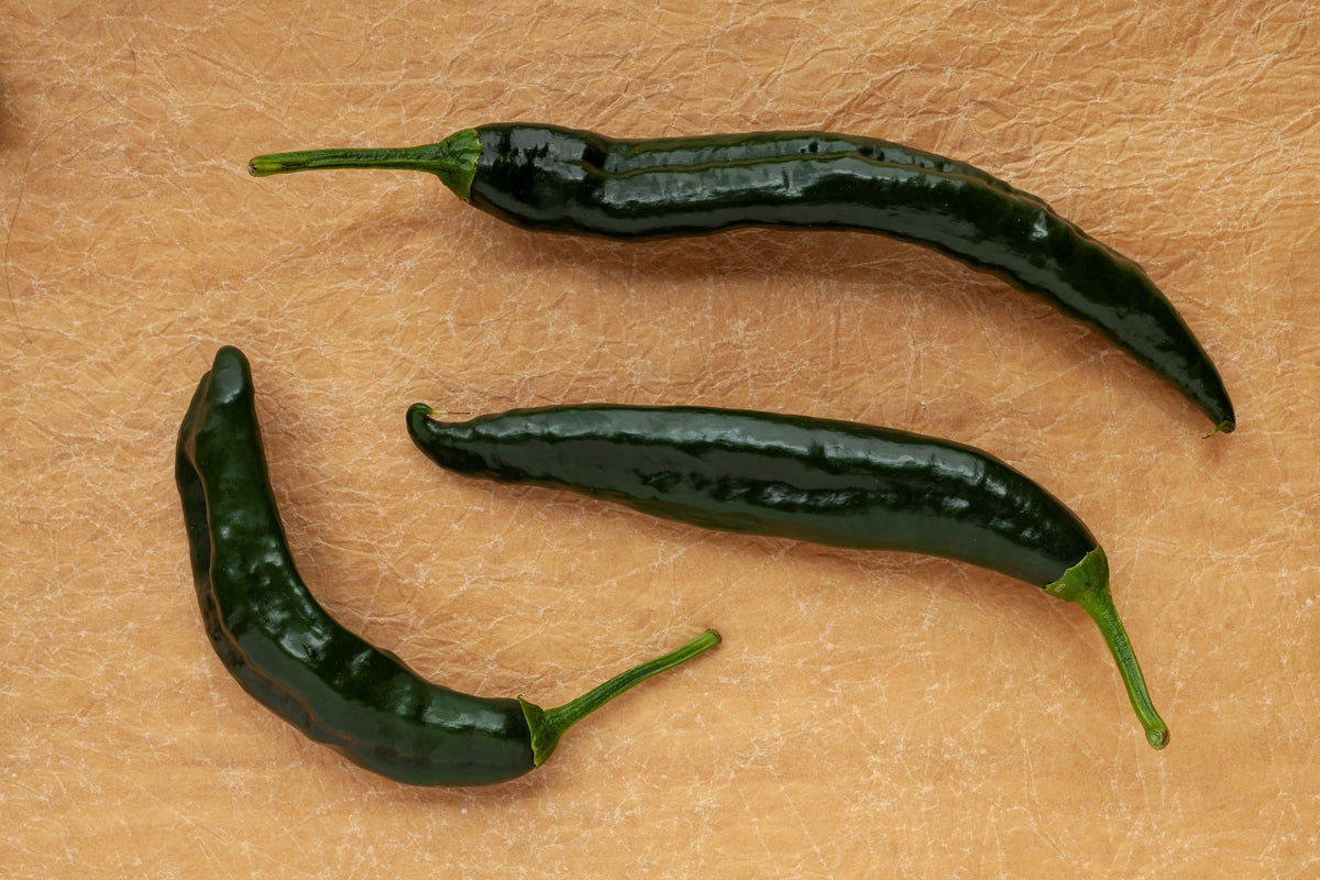 50 PASILLA BAJIO PEPPER Mexican Chile Negro Capsicum Annuum Vegetable Seeds