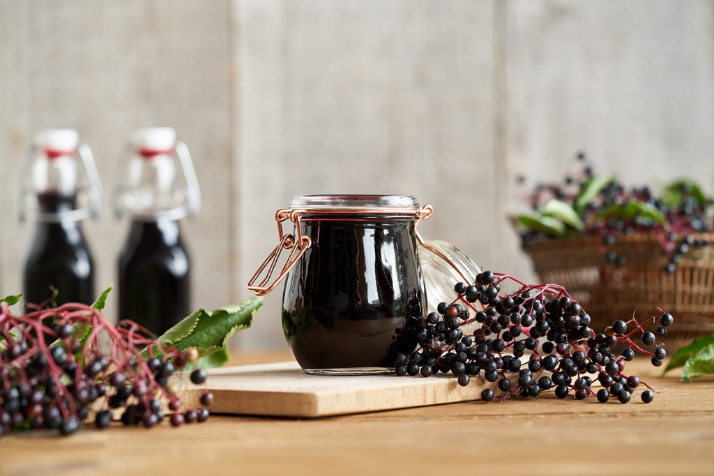 25 American ELDERBERRY FRUIT BUSH Shrub Tree Sambucus Nigra Seeds