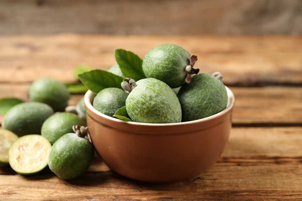 10 PINEAPPLE GUAVA Fruit Acca Guavasteen Brazilian or Fig Guava Feijoa Sellowiana Pink Red Flower Tree Shrub Seeds