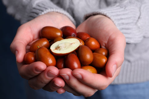 20 RED Chinese DATE TREE Edible Fruit Jujube Ziziphus Jujuba Yellow Flower Seeds
