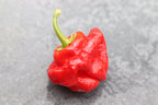 40 Red JAMAICAN HOT PEPPER Capsicum Annuum Scotch Bonnet Vegetable Seeds