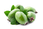 10 PINEAPPLE GUAVA Fruit Acca Guavasteen Brazilian or Fig Guava Feijoa Sellowiana Pink Red Flower Tree Shrub Seeds