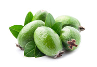 10 PINEAPPLE GUAVA Fruit Acca Guavasteen Brazilian or Fig Guava Feijoa Sellowiana Pink Red Flower Tree Shrub Seeds