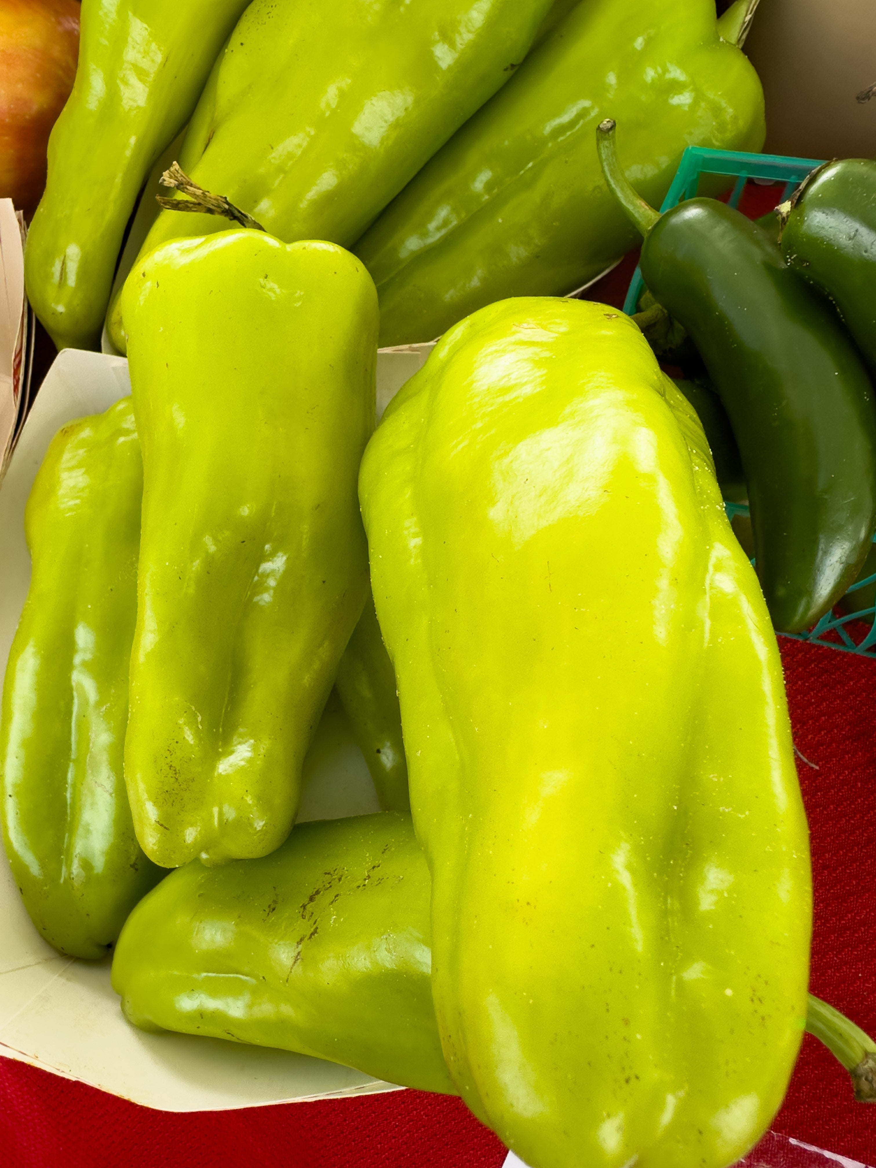 50 GREEK GOLDEN PEPPER Pepperoncini Gold Yellow Capsicum Annuum Vegetable Seeds