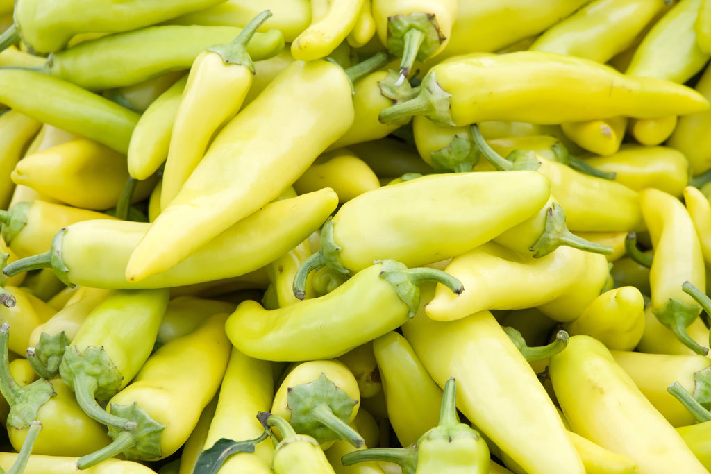 300 HUNGARIAN HOT Wax PEPPER (Hot Banana Pepper) Capsicum Annuum Vegetable Seeds