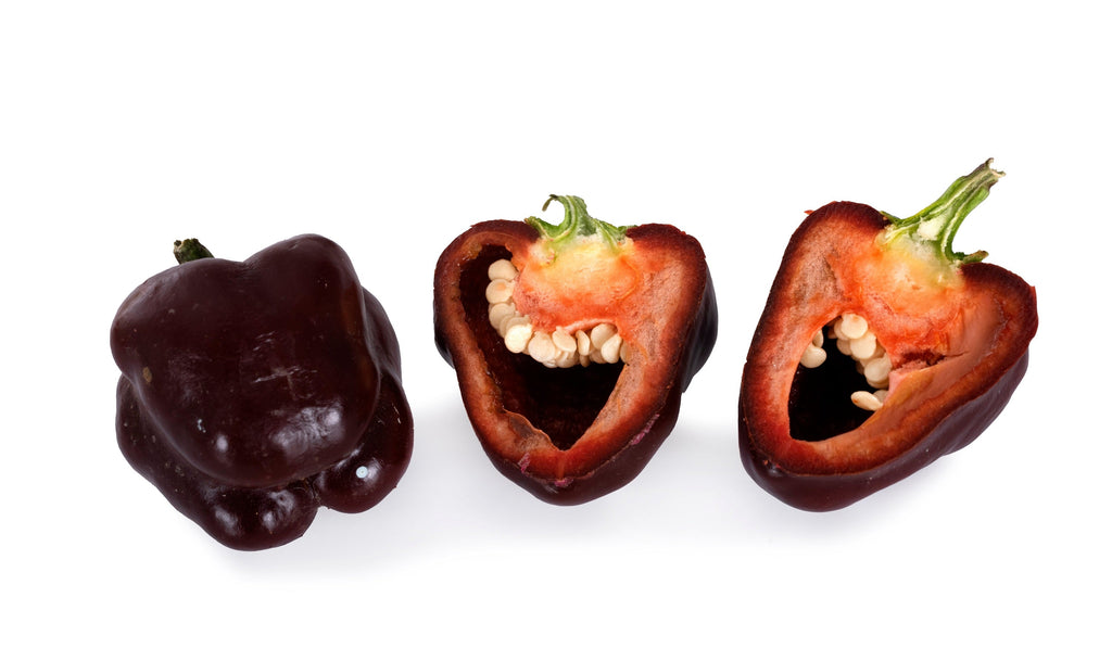 30 CHOCOLATE BEAUTY Bell PEPPER Sweet Brown Capsicum Annuum Vegetable Seeds