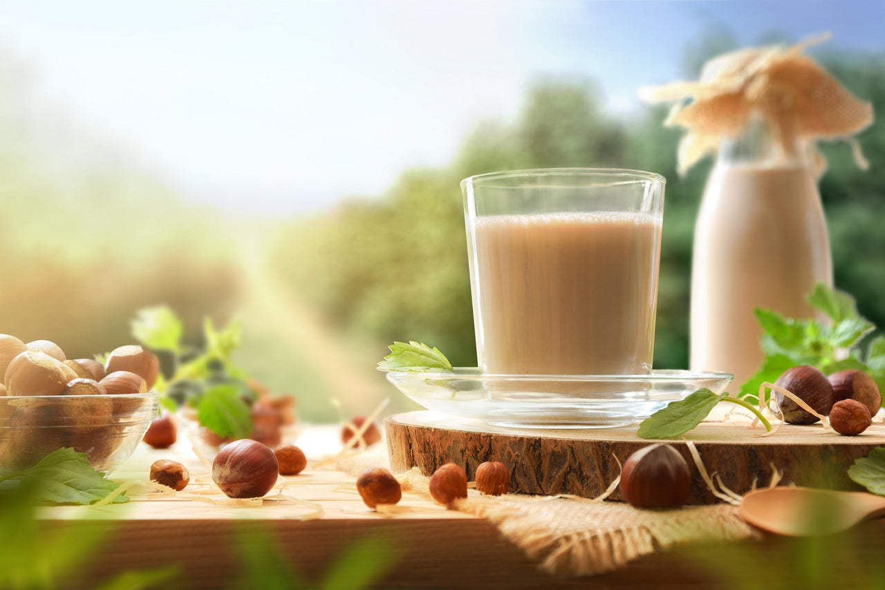 5 AMERICAN HAZELNUT TREE aka Filbert Corylus Americana Fruit Nut Seeds