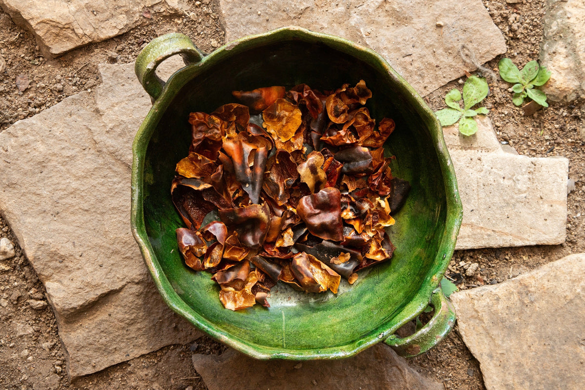 40 MULATO ISLENO PEPPER Brown Mildly Hot Ancho Poblano Capsicum Vegetable Seeds