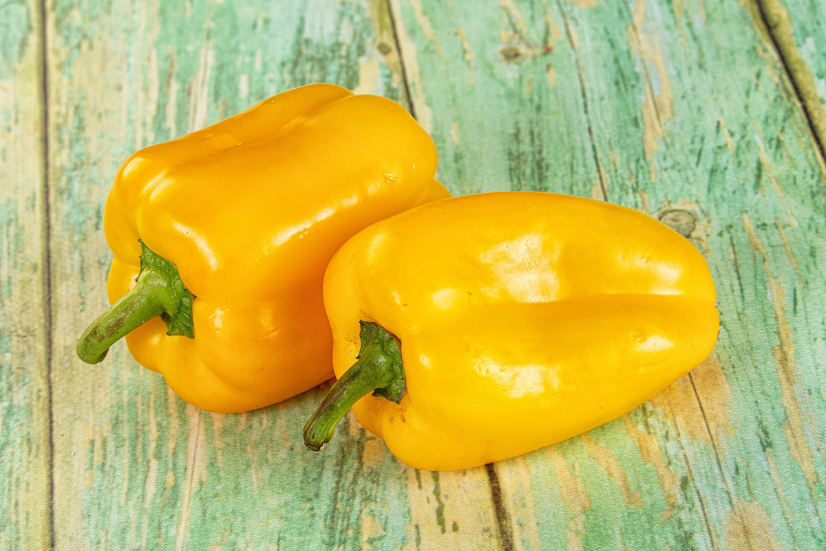 100 CANARY BELL PEPPER Sweet Yellow Capsicum Annuum Vegetable Seeds