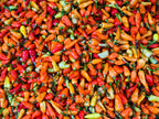 30 BIRDS Eye CHILI PEPPER (Chiltepin Pepper) Capsicum Frutescens Vegetable Seeds