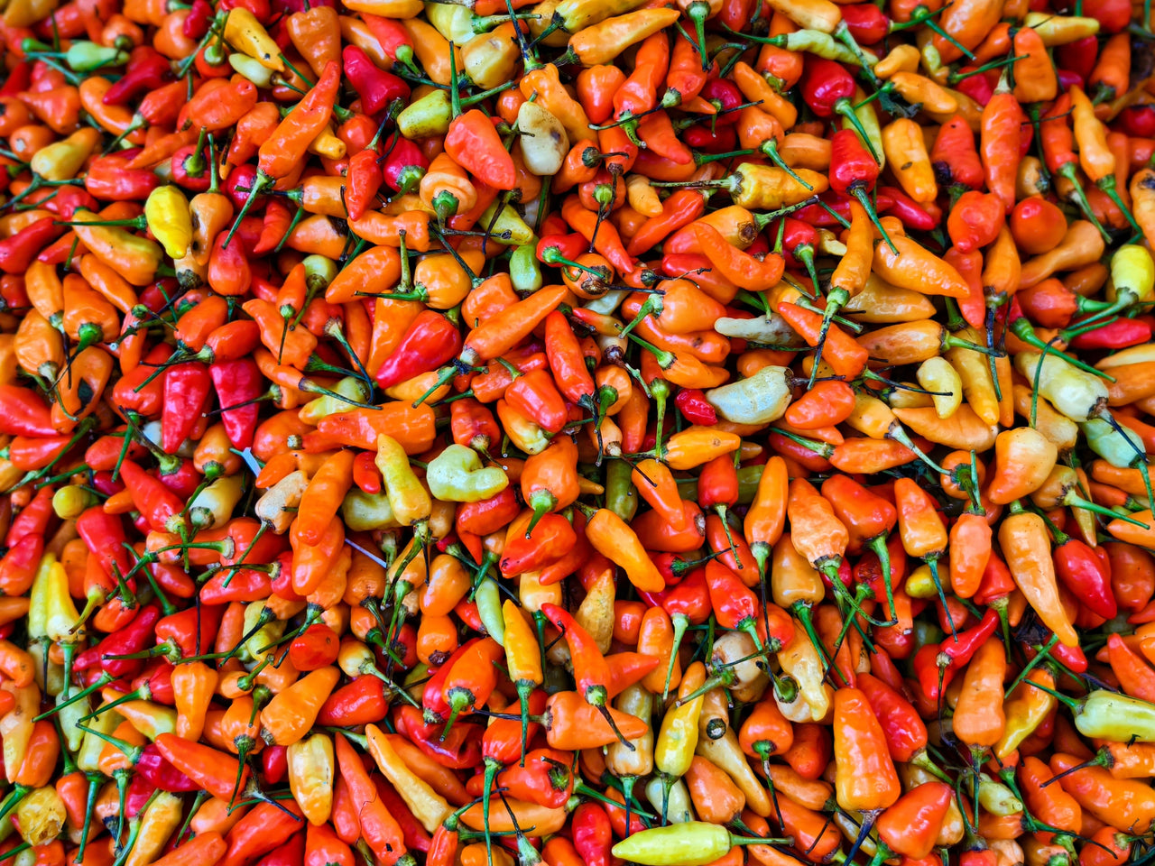 30 BIRDS Eye CHILI PEPPER (Chiltepin Pepper) Capsicum Frutescens Vegetable Seeds