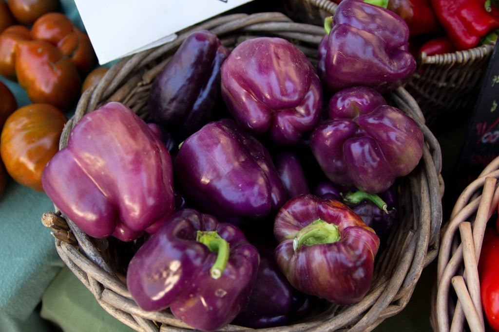 75 PURPLE BEAUTY PEPPER ( Sweet Mild Bell ) Capsicum Annuum Vegetable Seeds