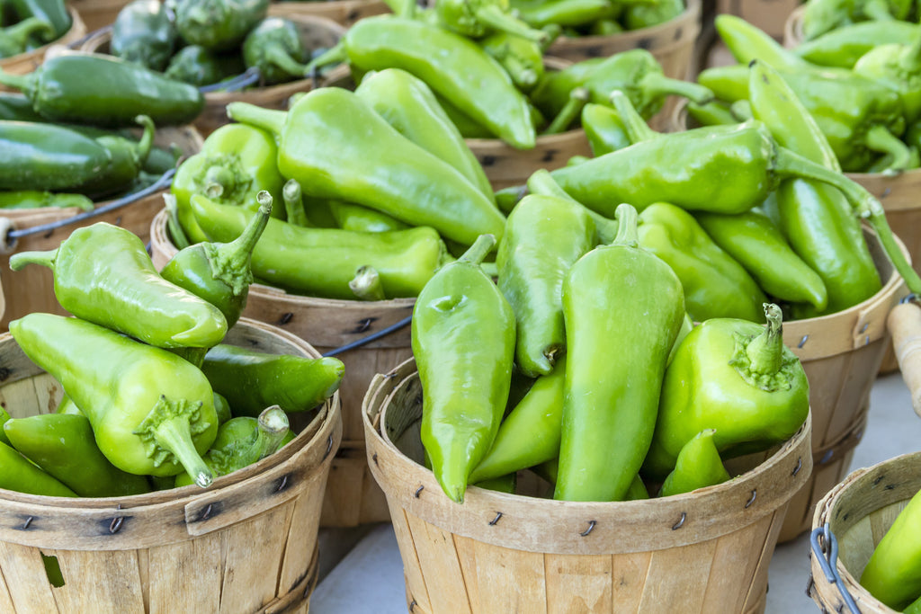 300 ANAHEIM CHILI PEPPER (New Mexico Chili Pepper) Capsicum Annuum Vegetable Seeds