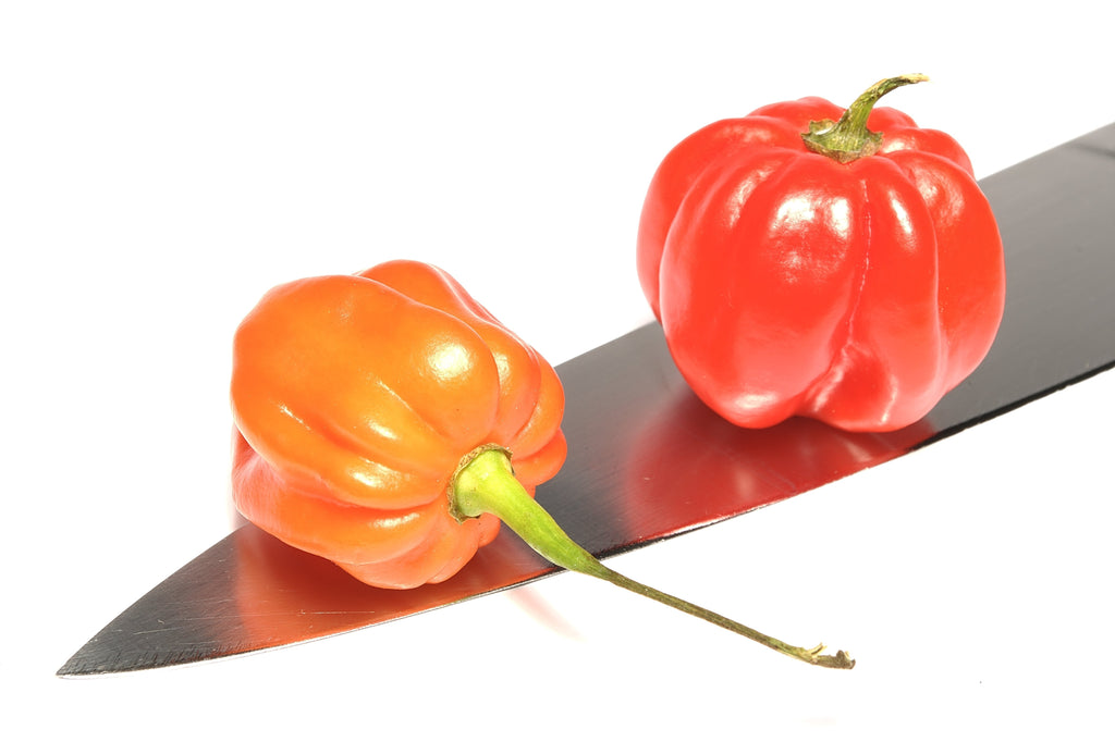 40 Orange SCOTCH BONNET PEPPER very hot Jamaican Capsicum Annuum Vegetable Seeds