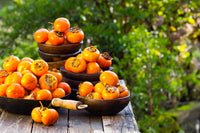 5 JAPANESE PERSIMMON Tree Asian Diospyros Kaki Orange Red Fruit Flower Seeds