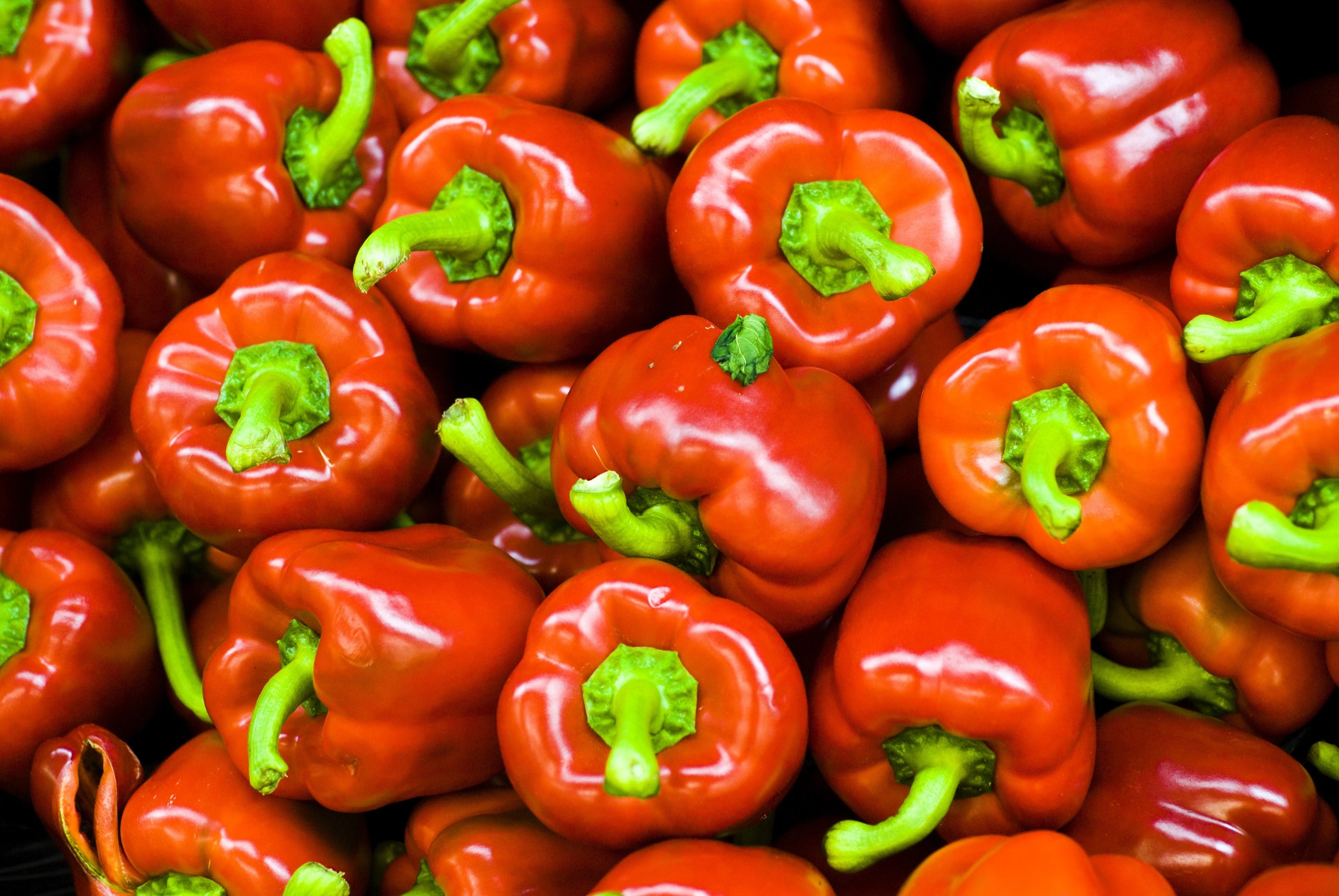 100 PIMENTO PEPPER (Red Sweet Pimientio / Italianelle / Cheese, Roasting, Frying Pepper) Capsicum Annuum Seeds