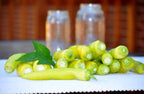 250 SWEET BANANA PEPPER Hungarian Capsicum Annuum Vegetable Seeds
