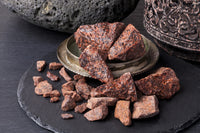 10 DRAGON TREE Dracaena Draco Canary Island Drago Blood Asparagus Yucca Evergreen Succulent Houseplant Orange Berry White Flower Seeds