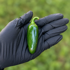 Pepper Joe's Jalapeno Pepper Seeds