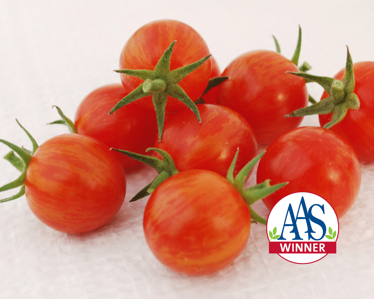 Sparky XSL Hybrid Tomato Seeds