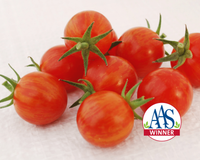Sparky XSL Hybrid Tomato Seeds