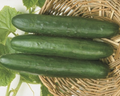 Sweet Slice Hybrid Cucumber Seeds
