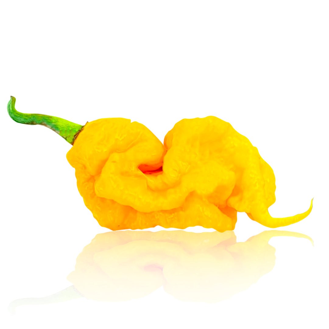 T - Rex Yellow Chili Pepper Seeds - The Pepper Pantry (Formerly Marie Sharp's)