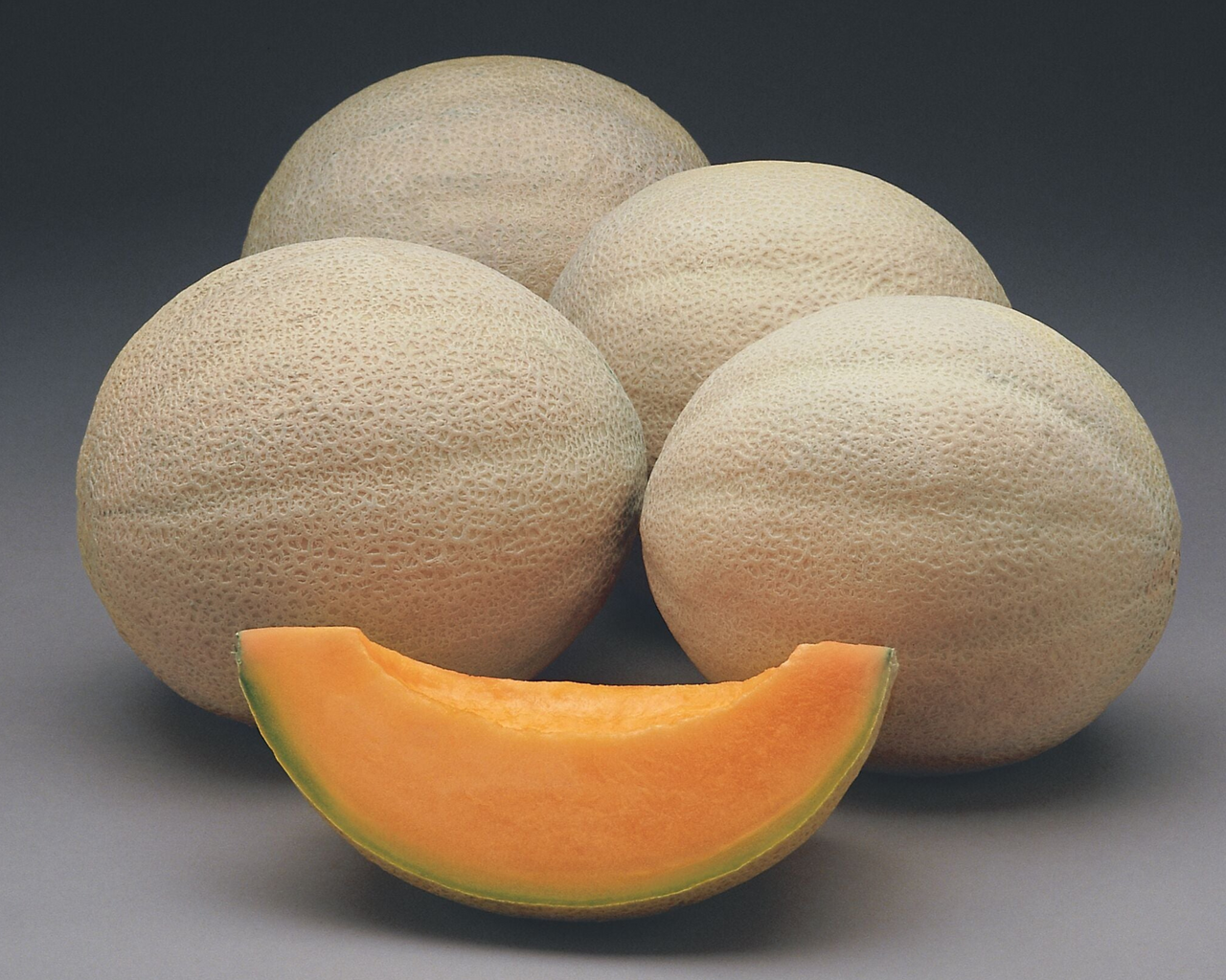 Athena Hybrid Cantaloupe Seeds