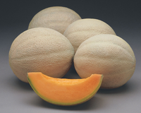 Athena Hybrid Cantaloupe Seeds
