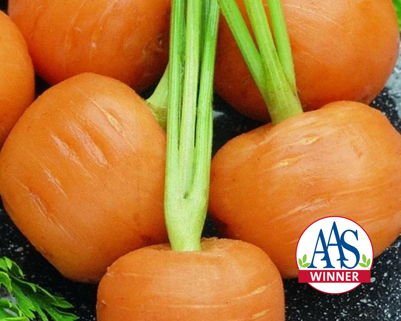 Thumbelina Carrot Seeds