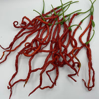 Thunder Mountain Longhorn - Seeds - The Pepper Pantry (Formerly Marie Sharp's)