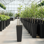 Tree Growing Containers - Treepots (Tall)