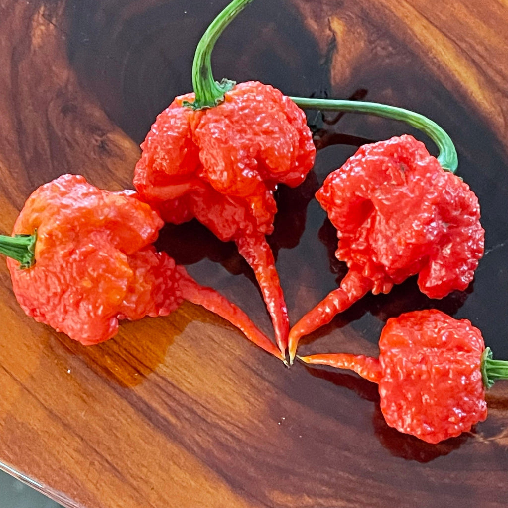Trinidad 7 Pot Primo / 7 Pod Primo - Seeds - The Pepper Pantry (Formerly Marie Sharp's)