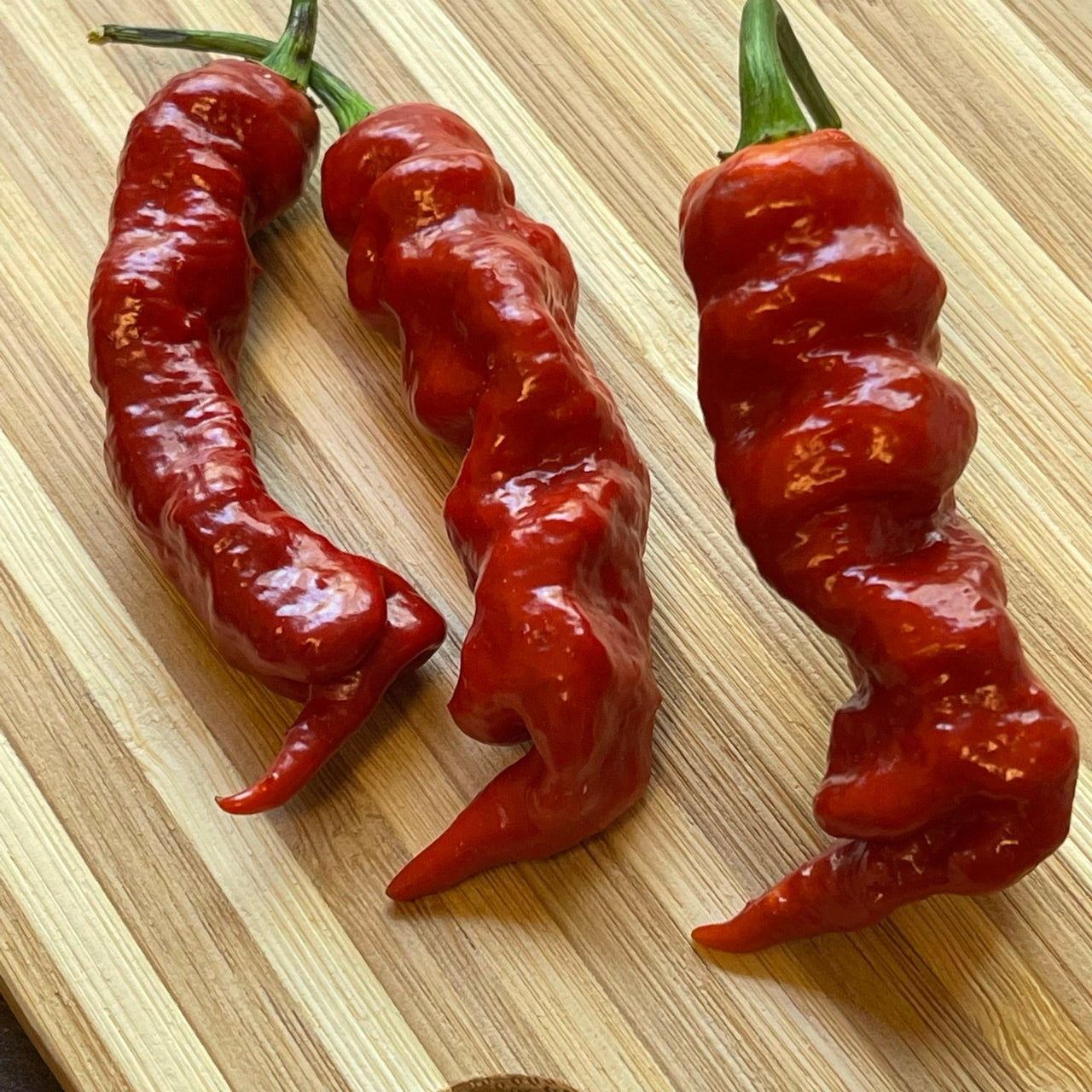 Trinidad Viper Brown Skinny - Seeds - The Pepper Pantry (Formerly Marie Sharp's)