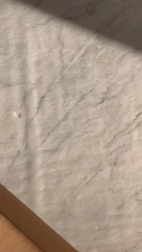 The Whole Red Clay Shebang