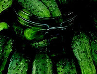 Wisconsin SMR 58 Cucumber Seeds