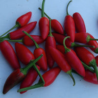 Xochiteco Pepper Seeds - The Pepper Pantry (Formerly Marie Sharp's)