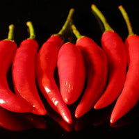 Yatzy or the Yatsufusa Pepper Seeds - The Pepper Pantry (Formerly Marie Sharp's)