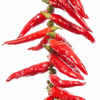 Yatzy or the Yatsufusa Pepper Seeds - The Pepper Pantry (Formerly Marie Sharp's)