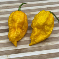 Yellow Fever - Seeds - The Pepper Pantry (Formerly Marie Sharp's)