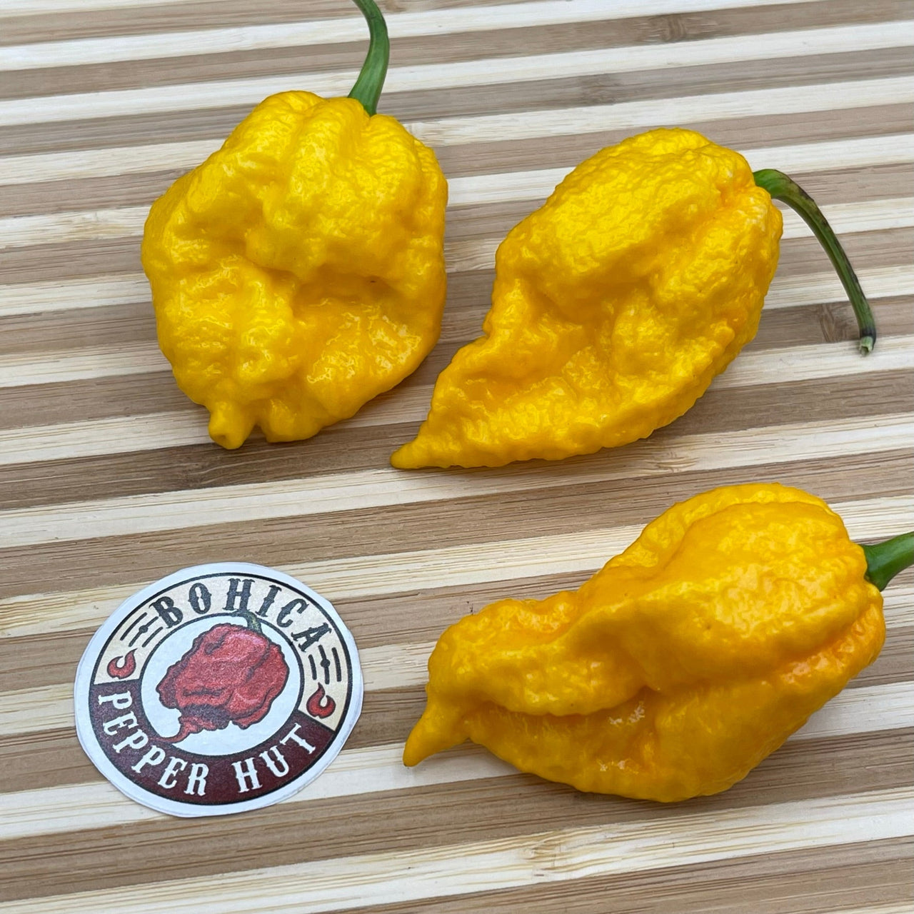 Yellow Fever - Seeds - The Pepper Pantry (Formerly Marie Sharp's)