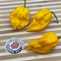 Yellow Fever - Seeds - The Pepper Pantry (Formerly Marie Sharp's)