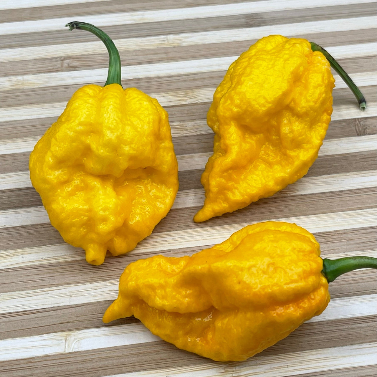 Yellow Fever - Seeds - The Pepper Pantry (Formerly Marie Sharp's)