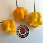 Yellow Reaper Cross - Seeds