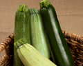 Summer Surprise Hybrid Zucchini Medley Seeds