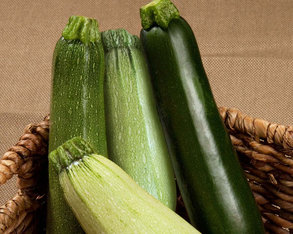 Summer Surprise Hybrid Zucchini Medley Seeds